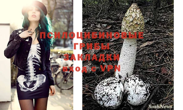 круглые Алексеевка