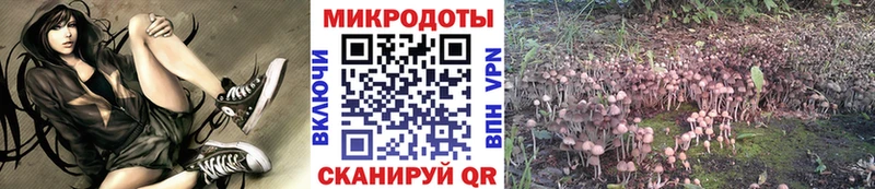 Купить где  Пестово  Галлюциногенные грибы Psilocybe 