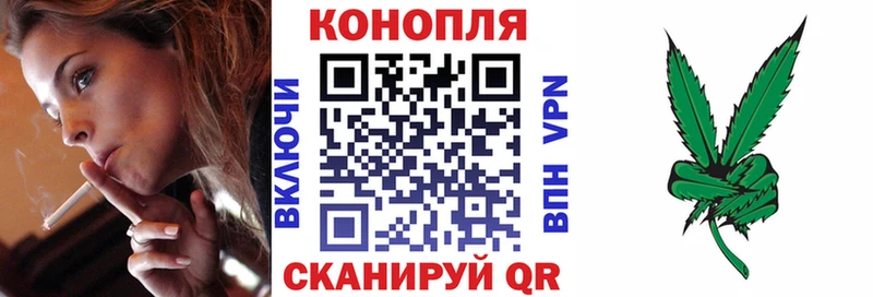 Бошки Шишки индика  Купить закладки  Пестово 